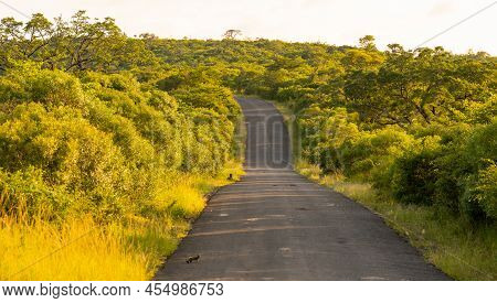Hluhluwe Imfolozi Park Nature Reserve South Africa