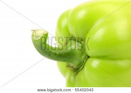 Tail of green pepper. Close up. Macro.