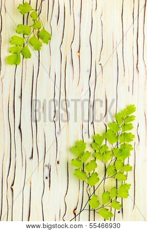 The Branches Of A Fern Lies On A Wooden Background