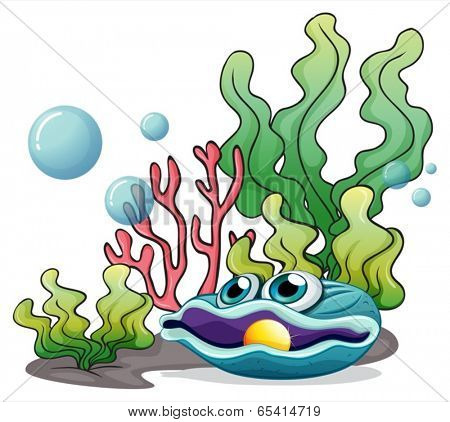 Illustration of the corals, seaweeds and a clamb under the sea on a white background