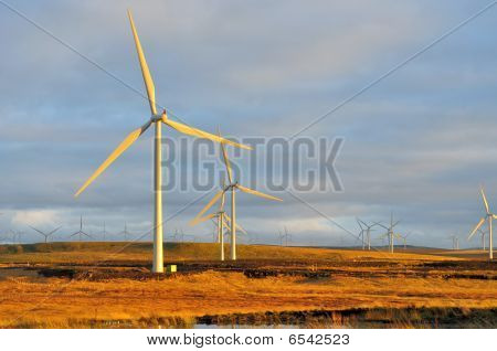 Windfarm ขนาดใหญ่