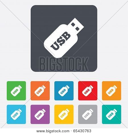 Usb Stick sign icon. Usb flash drive button.