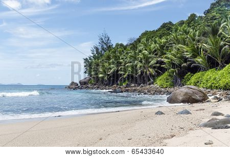 Tropical Island Beach