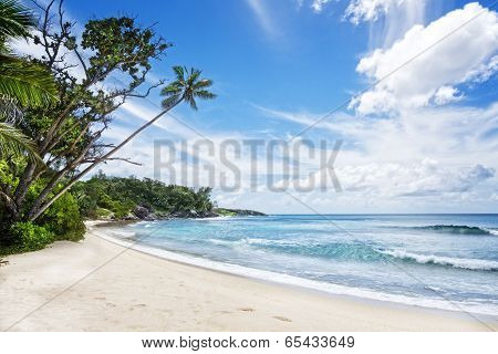 Tropical Island
