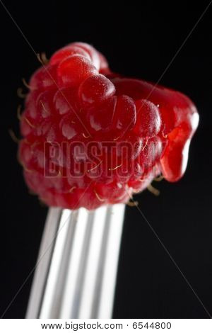 Succosa