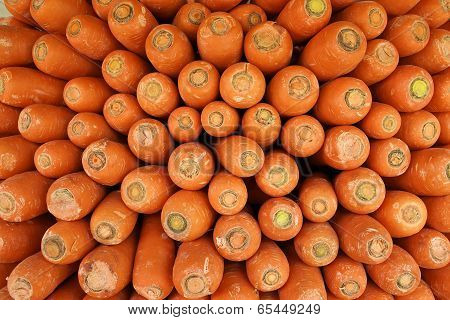 Fresh carrots