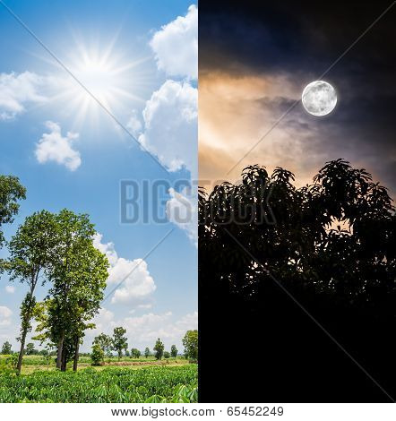 Day And Night