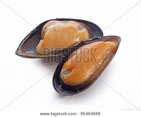 Mussels