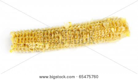 Fully eaten corn on the cob isolated on white