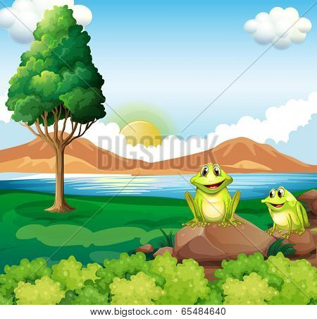 Illustration of the two frogs above the rock near the river