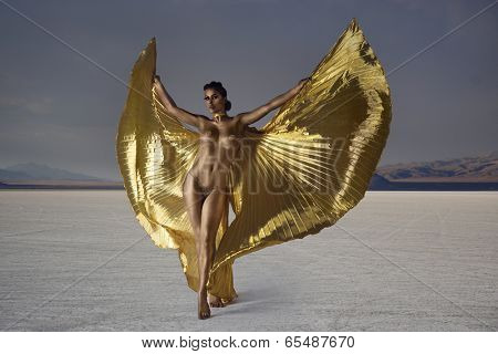 woman dancer bodypainted gold wearing bikini 