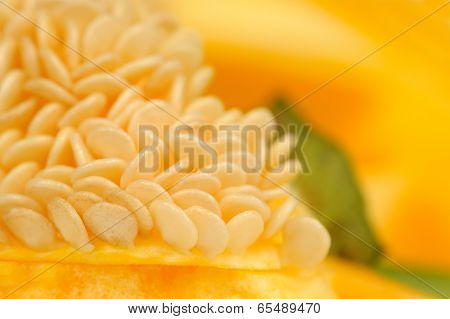 Bell Pepper Seeds Close-up
