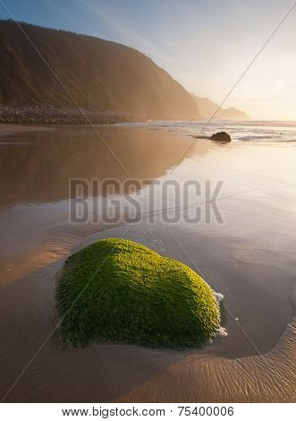 Green Rock On The Beach