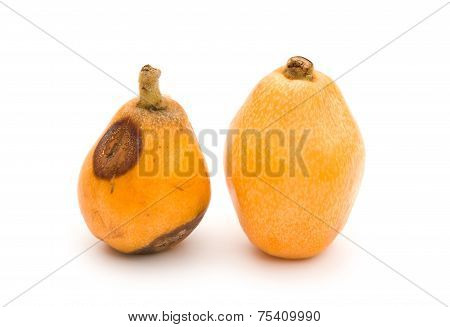 A Fresh Loquat Medlar And A Rotten Loquat Medlar On A White Background