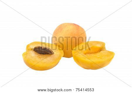 Apricot