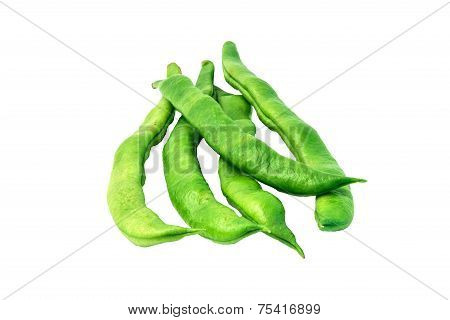 Flat bean
