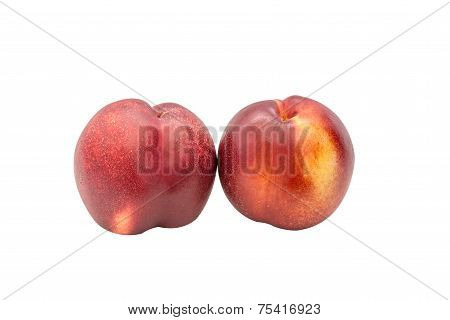 Nectarines