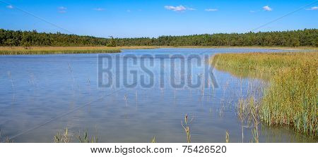 North European Natural Landscape.