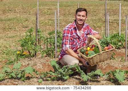 Organic Farmer