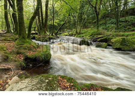 The River Fowey
