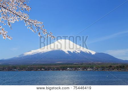 Mt.fuji At Lake Yamanaka, Japan