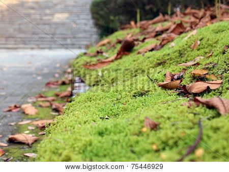 Pavement