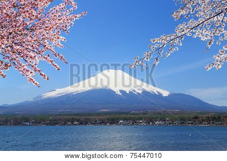 Mt.fuji At Lake Yamanaka, Japan