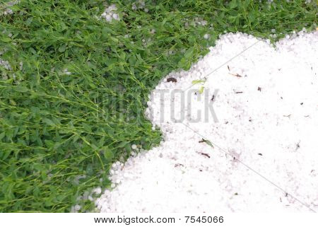 Hagel en groen gras