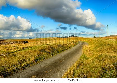 Bodmin Moor In Cornwall