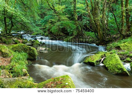 Golitha Falls In Cornwall