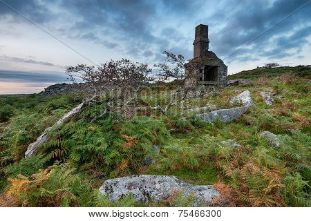 Carbilly Tor