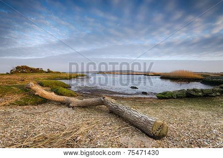 Stanpit Marsh