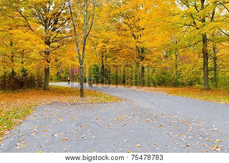 Colorful Autumn In Park