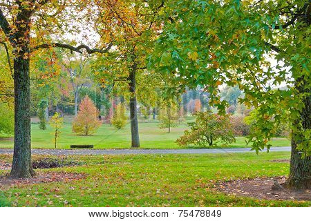 Colorful Autumn In Park