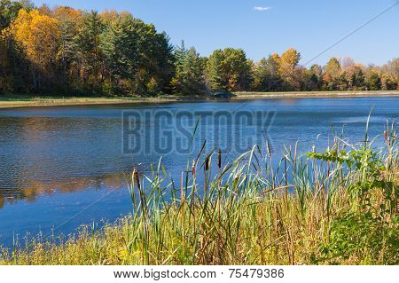 Autumn Landscape
