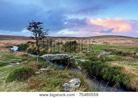 Stone Clapper Bridge On Dartmoor