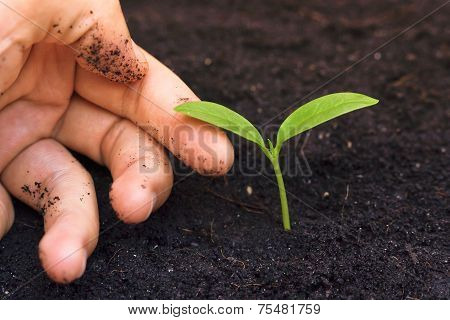 love nature