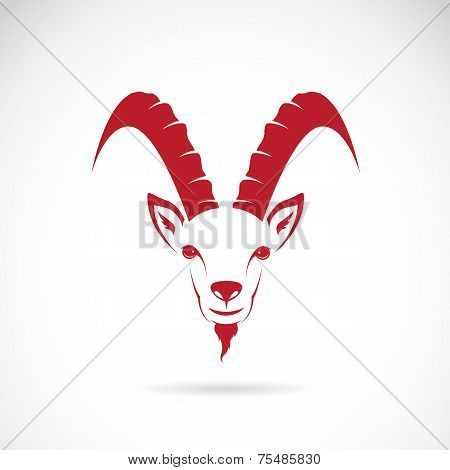 Vector Image Of Goat (chamois)