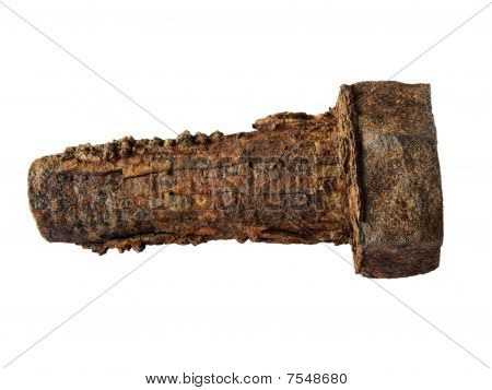 Rusty bout geïsoleerd