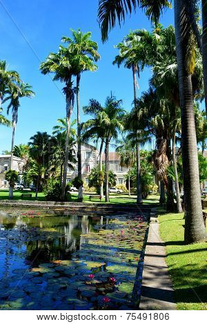 Codrington College