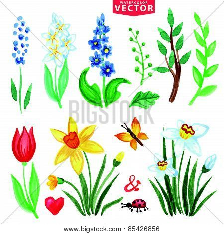 Watercolor Spring Flowers Set