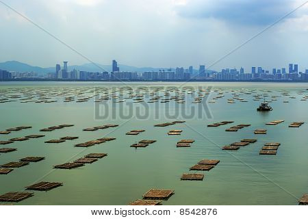 维多利亚港