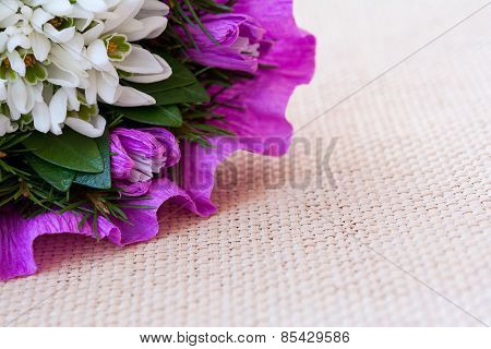 Snowdrop flowers bouquet with fir twigs