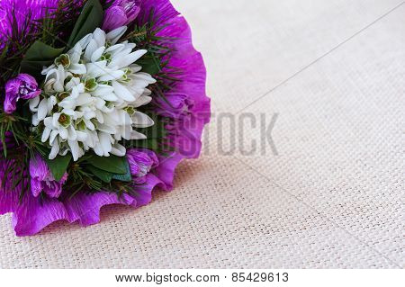 Snowdrop flowers bouquet with fir twigs