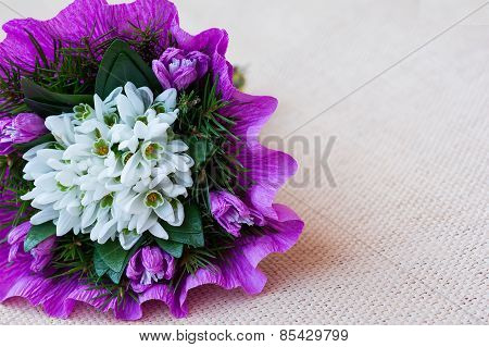 Snowdrop flowers bouquet with fir twigs