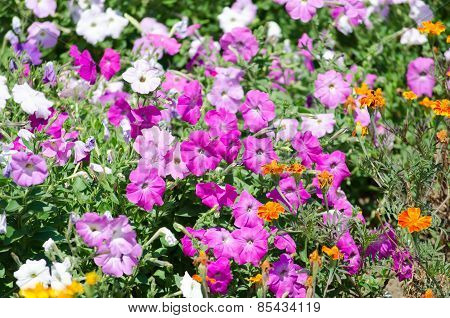 Street decorative landskape design elements in gardening