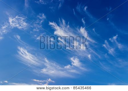 Sky