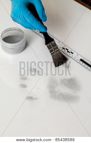 Fingerprint