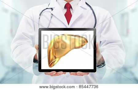 Doctor With Stethoscope And Golden Liver On The  Hands In A Hospital