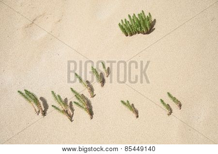 Colonial Outposts